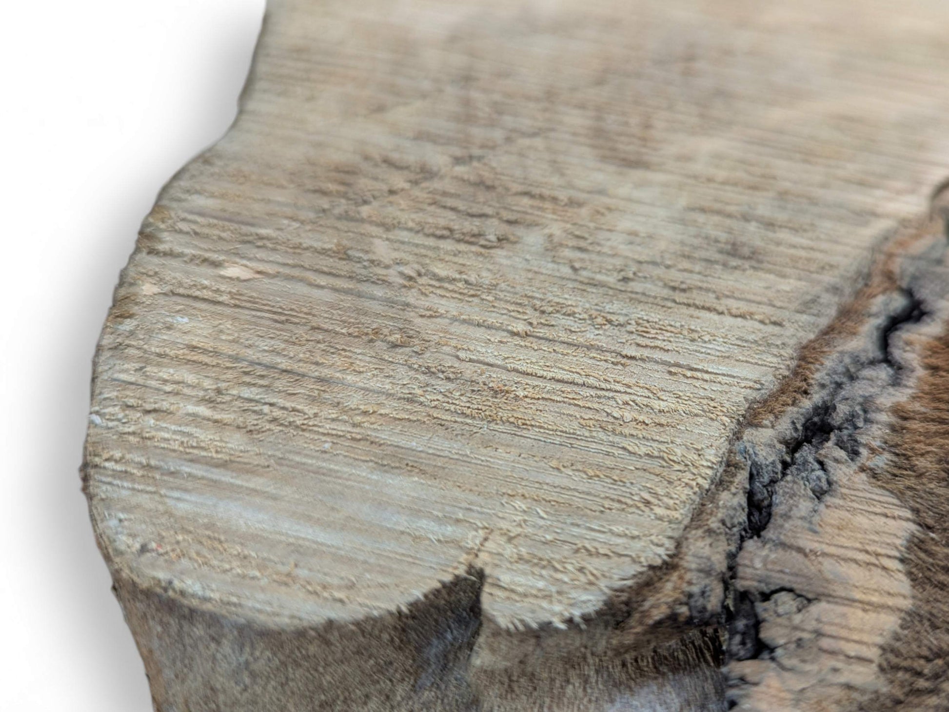 Untreated wood slice surface, beige-brown, displays parallel grain lines, a rough texture, and a prominent dark crack.