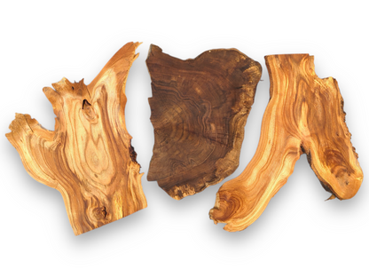 Several varied, unfinished wood slices display irregular shapes, live edges, and prominent grain in brown tones.