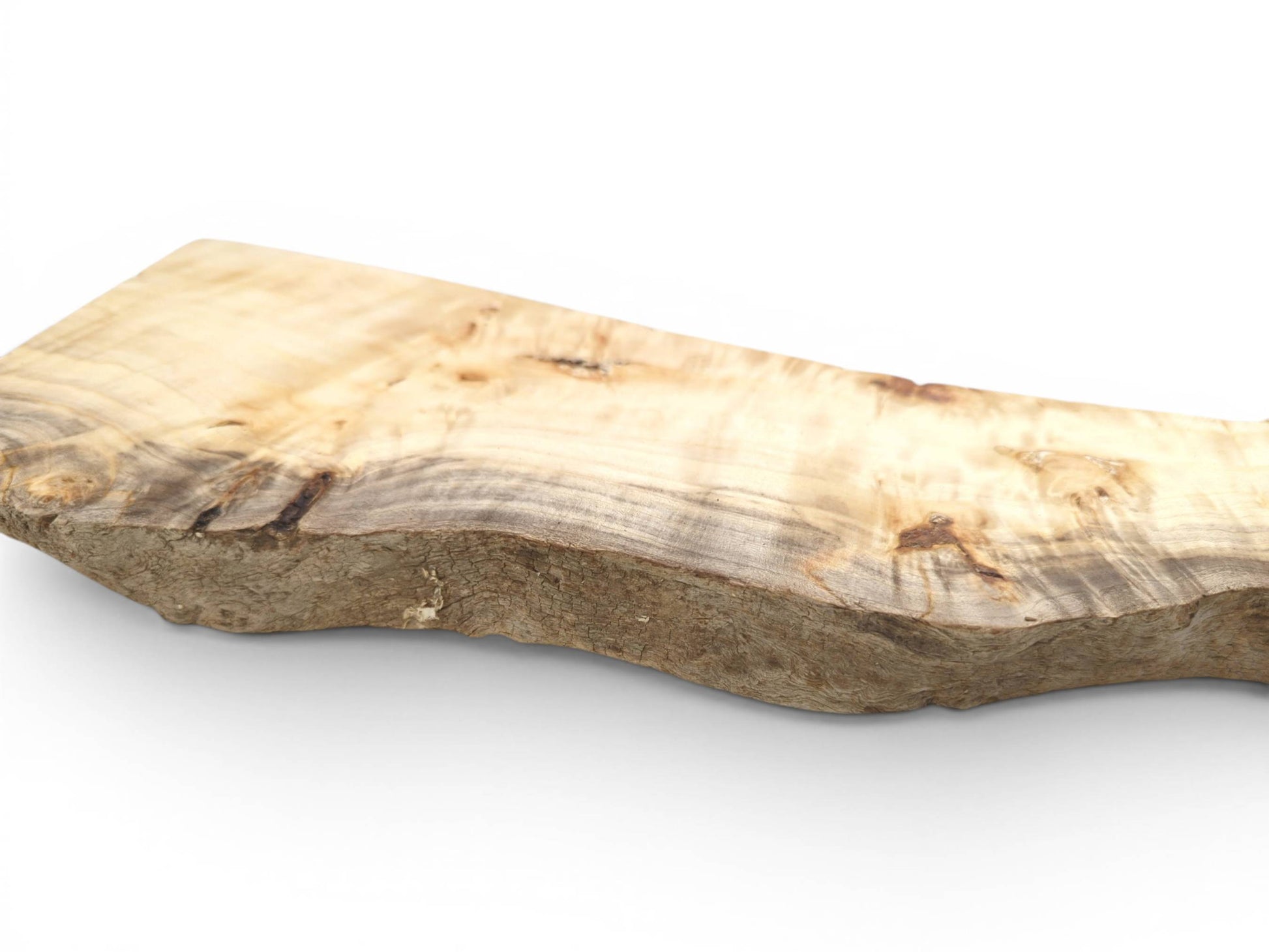 A low-angle view shows the thick, rugged bark on a pale, smooth timber slab.