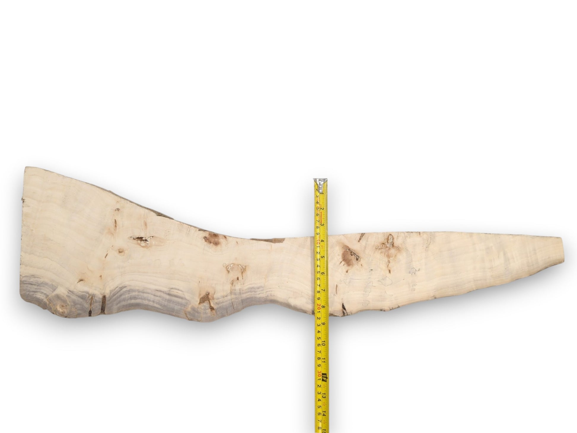 A yellow ruler measures an asymmetrical timber slab with scattered burls and a tapering end.