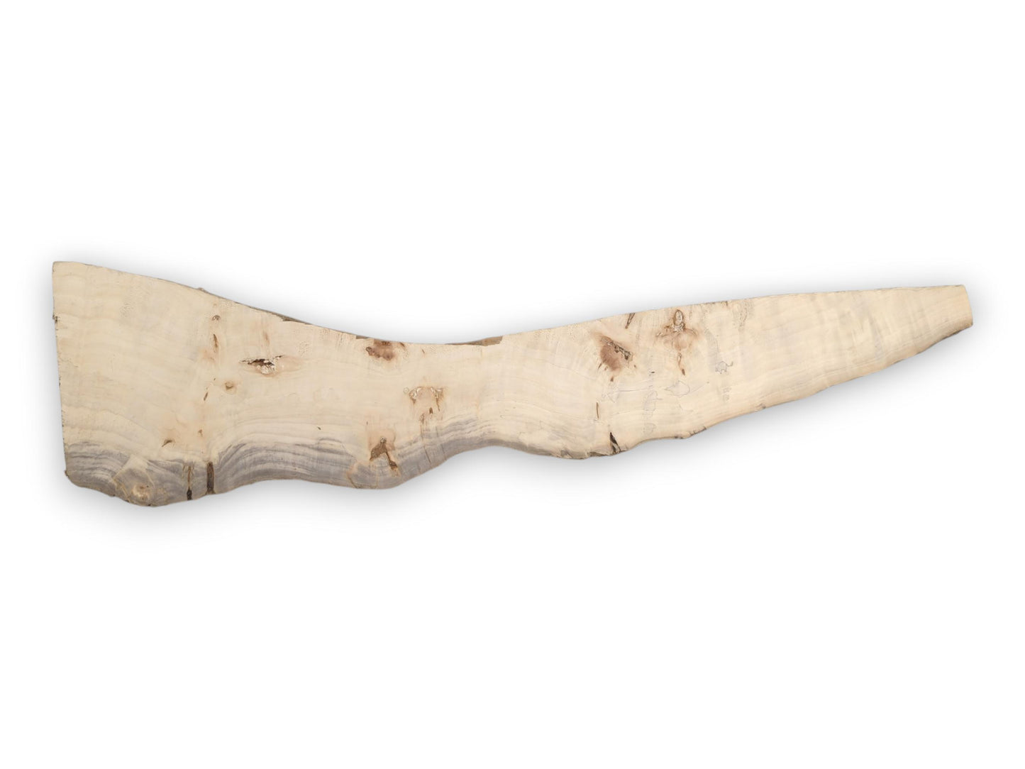 An elongated poplar slab shows grey mineral staining along its undulating live edge.