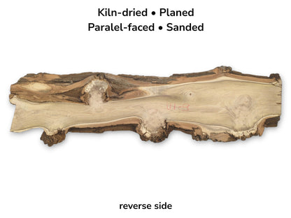 The reverse side of a black locust wood slab with text listing preparation methods.
