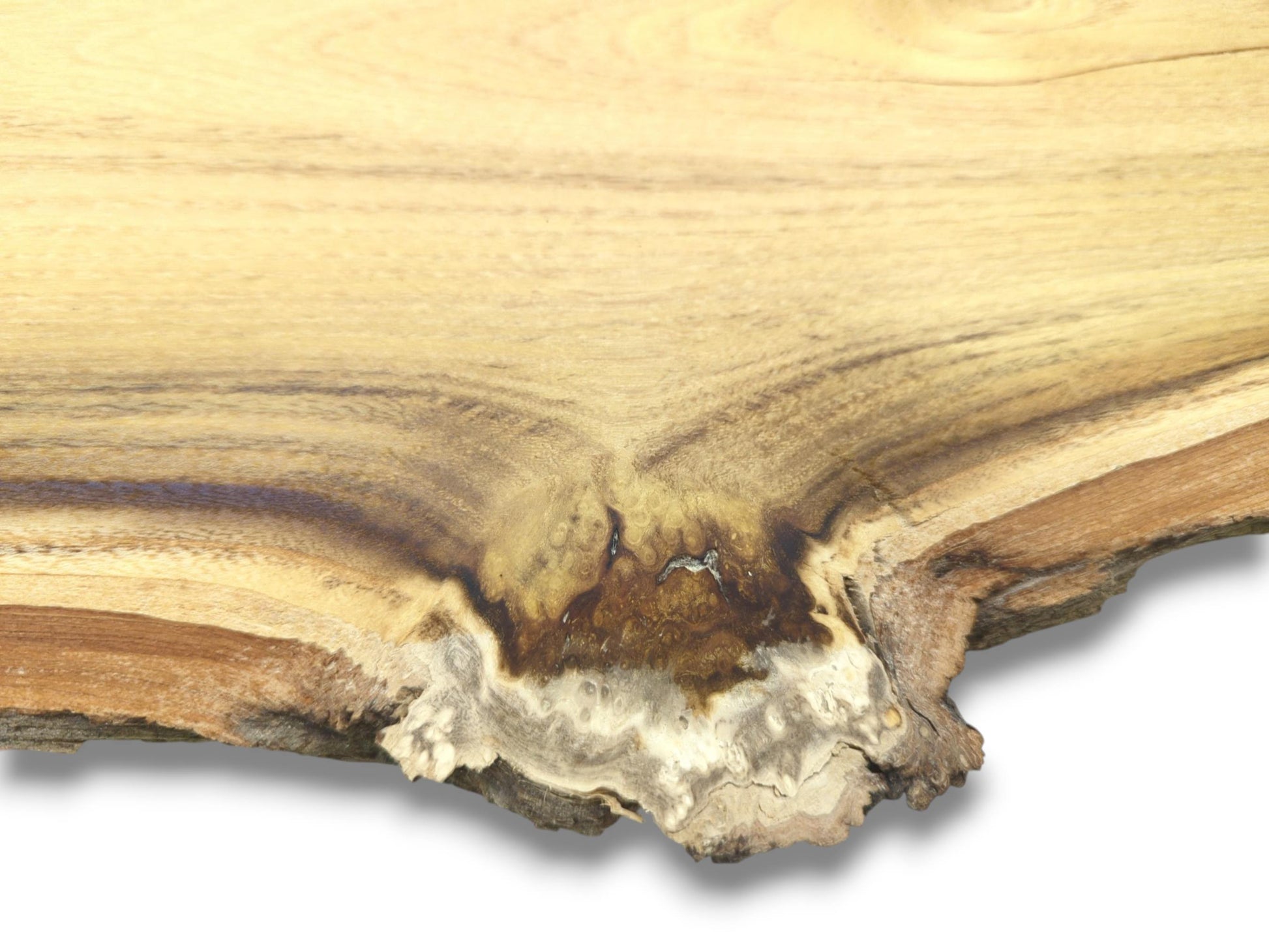 A close-up shows the dark, burled knot merging into the rough live edge of a slab.