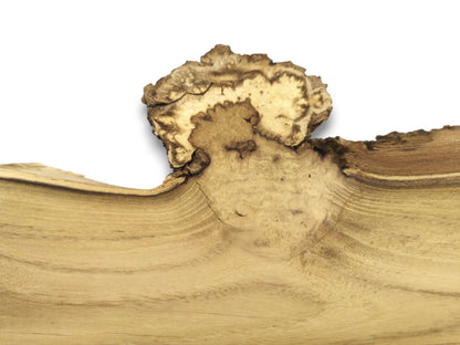A close-up shows a large, craggy burl with a scalloped edge rising from the slab.