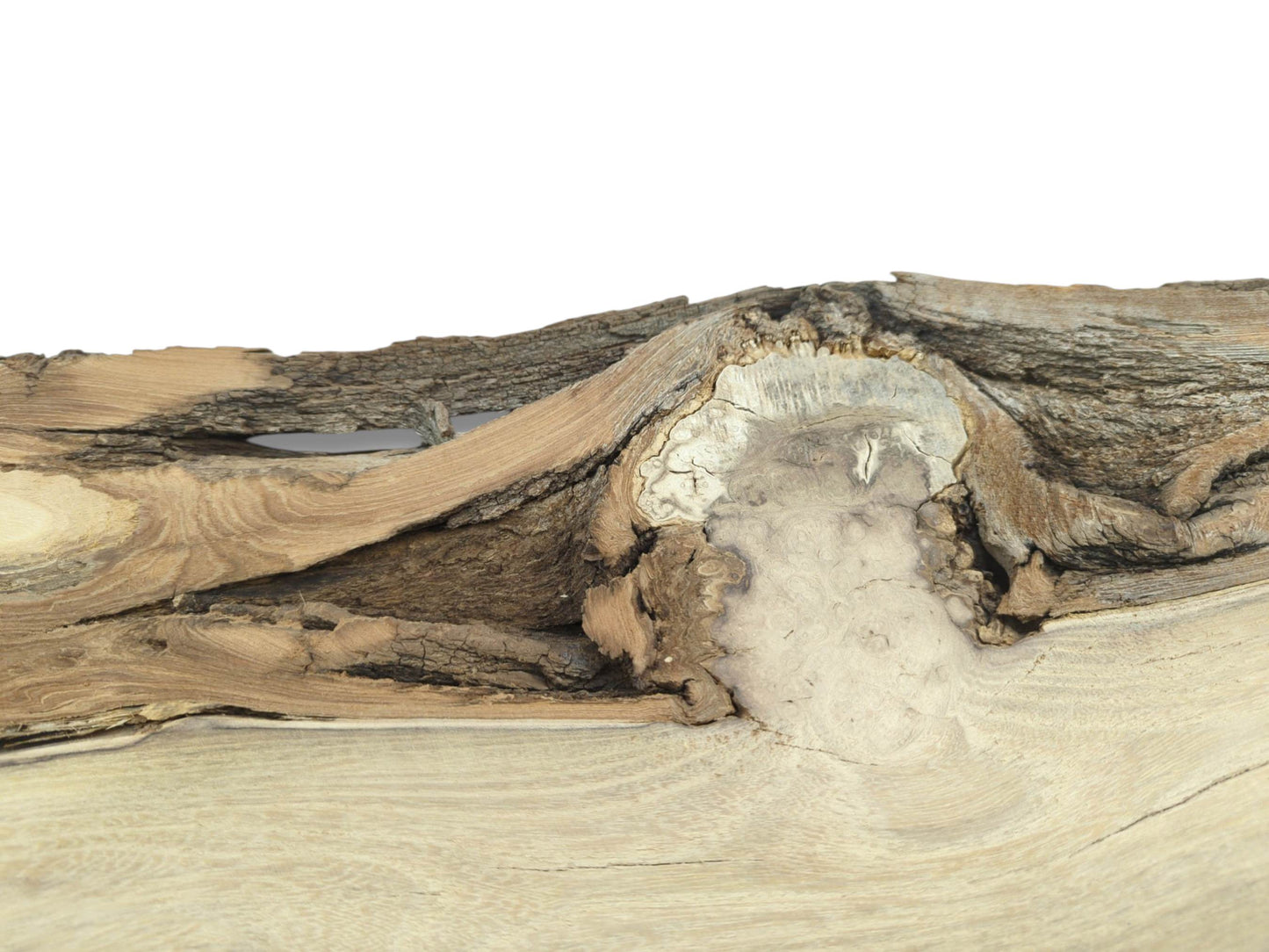 A low-angle view shows a large, pale, cracked knot along the slab's live edge.