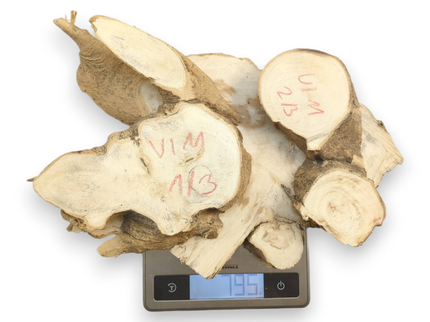 Multiple Ailanthus wood root slices with light grain and natural bark edges on a scale.