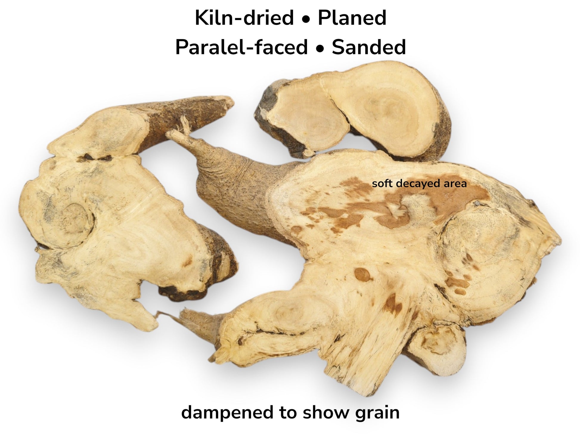 Three kiln-dried Ailanthus wood root slices, planed and sanded, showing a soft decayed area.
