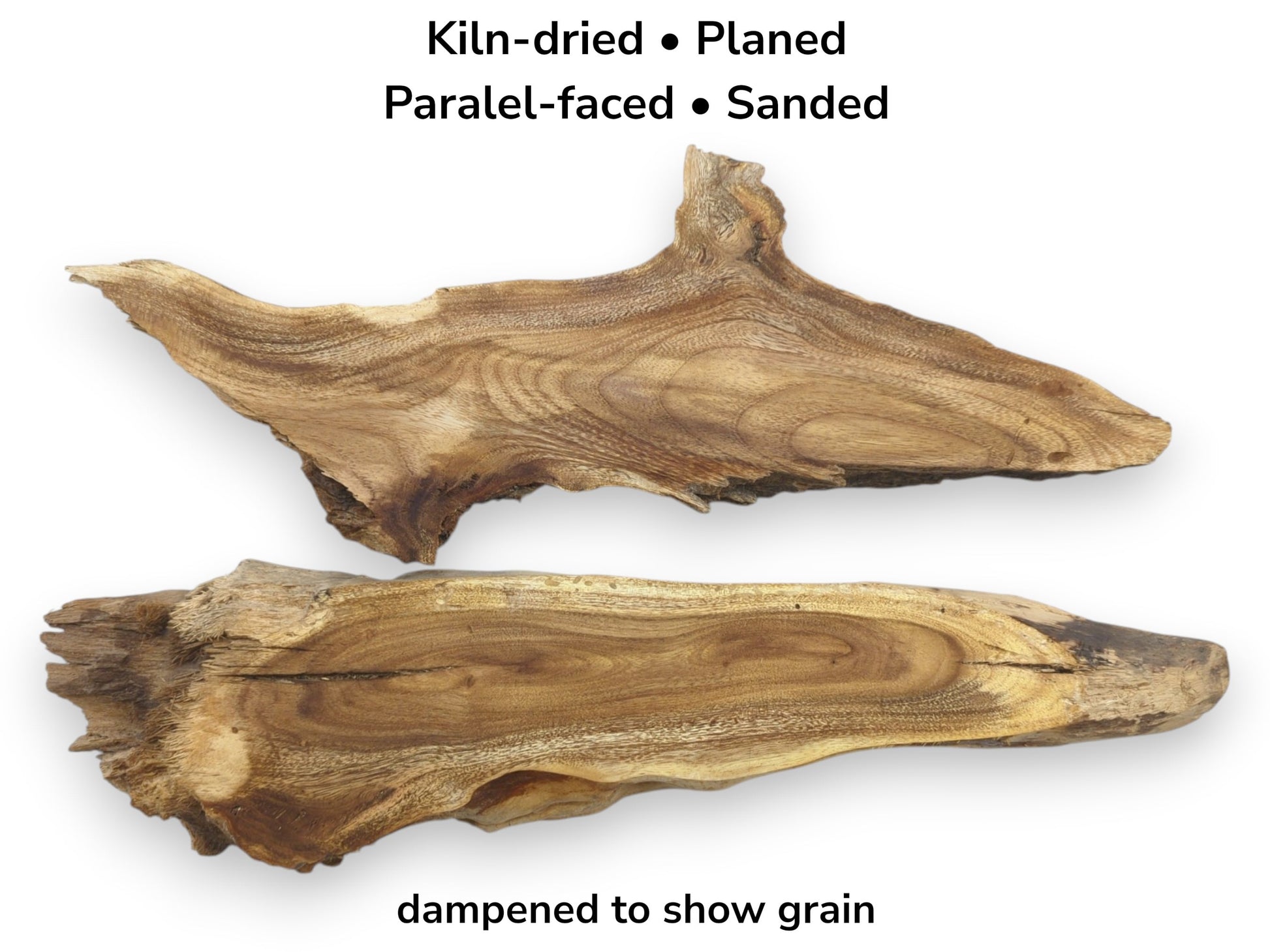 Two kiln-dried, planed, parallel-faced, sanded Mulberry wood root slices, dampened to show grain.