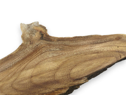 A close-up, angled view of a single Mulberry wood slice with natural grain and live edge.