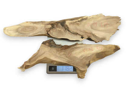 Two natural Mulberry wood root slices with live edges, displaying distinct grain patterns on a scale.