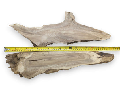 Two natural Mulberry wood root slices with live edges, displaying distinct grain patterns and cracks.