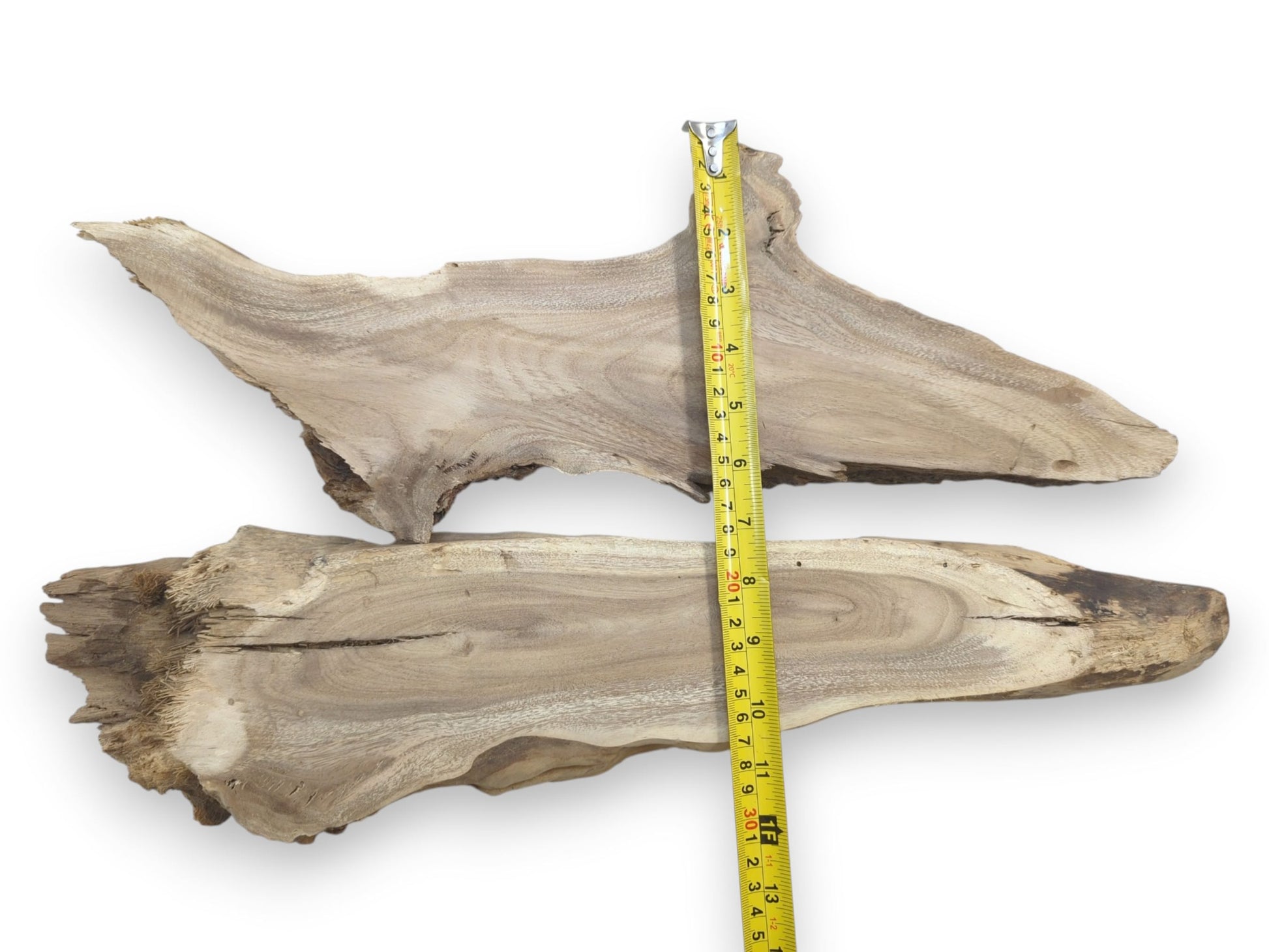 Two natural Mulberry wood root slices with live edges, displaying distinct grain patterns and cracks.