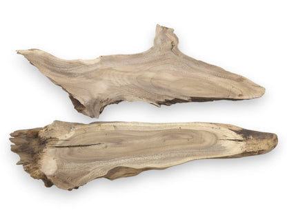 Two natural Mulberry wood root slices with live edges, displaying distinct grain patterns and cracks.