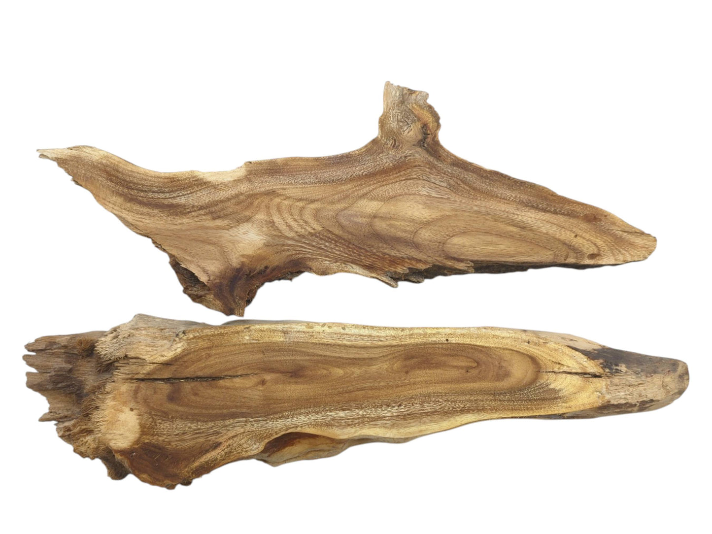 Two natural wood slices with live edges, displaying distinct grain patterns and cracks.