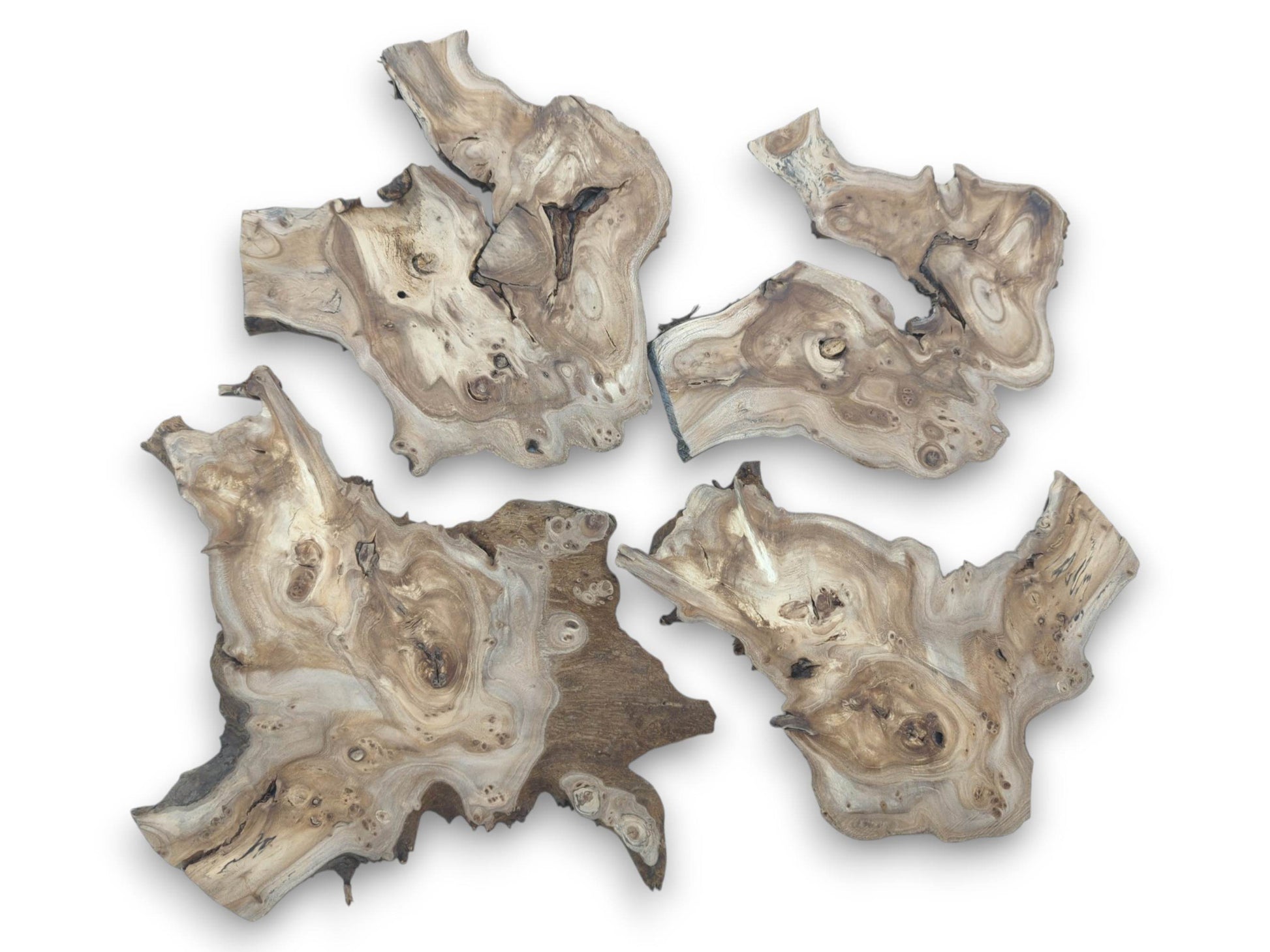 Four highly figured hardwood slices with natural edges, visible burls, and unique grain patterns.