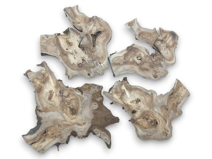 Four highly figured hardwood slices with natural edges, visible burls, and unique grain patterns.