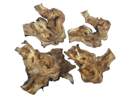 Four highly figured hardwood slices with natural edges, visible burls, and unique grain patterns.