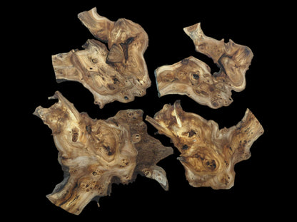 Four highly figured hardwood slices with natural edges, visible burls, and unique grain patterns.