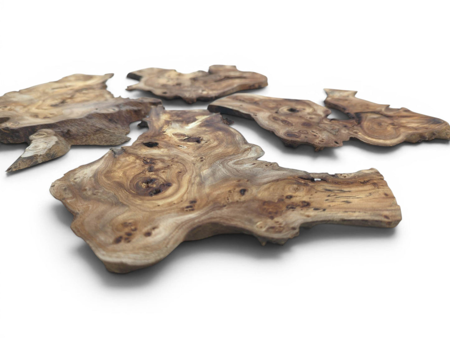 Five natural edge hardwood slices with unique grain patterns and burls on a white background.