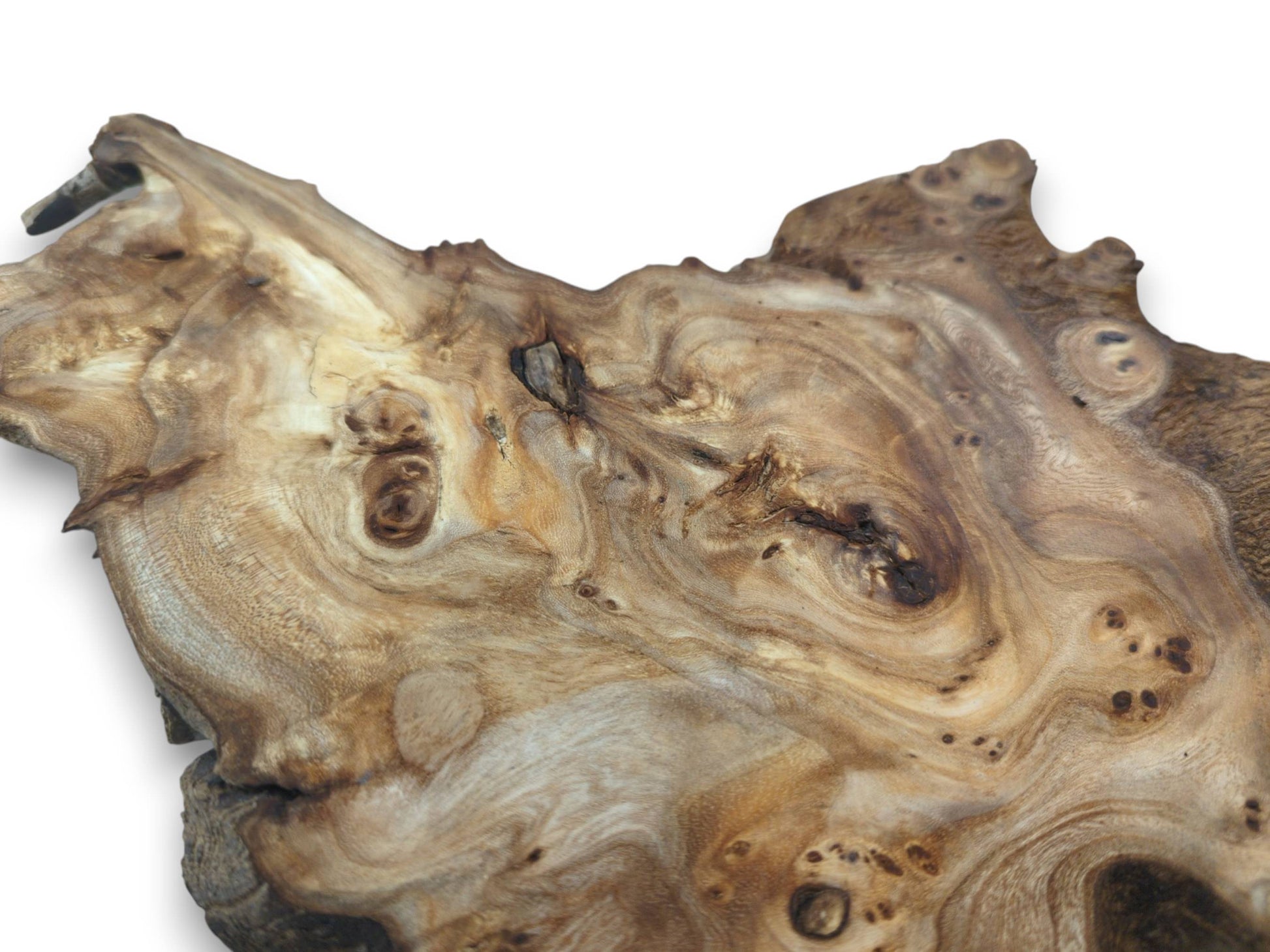 Close-up of a single highly figured hardwood slice with natural edges and unique grain patterns.