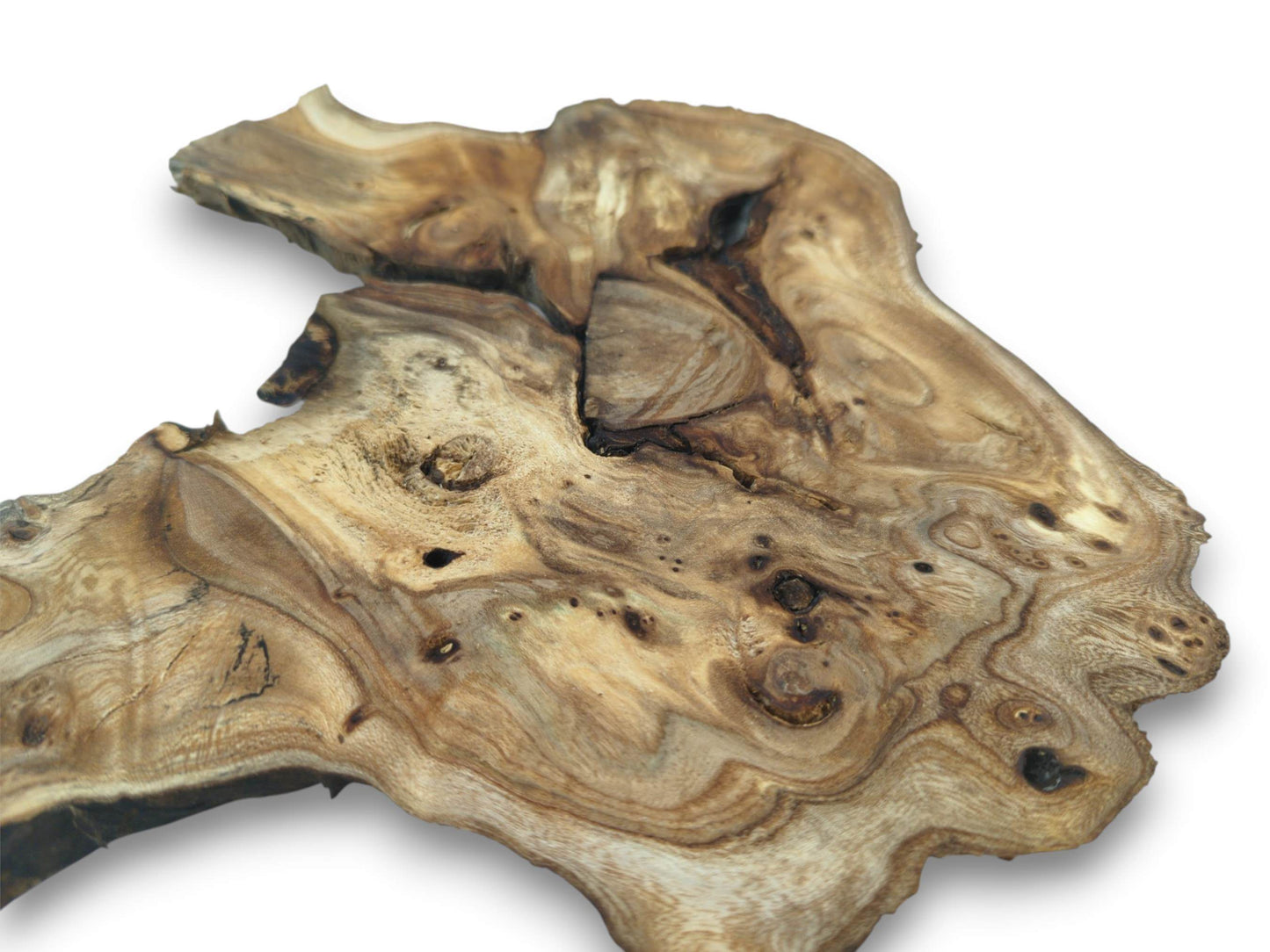 Close-up of a single hardwood slice with natural edges, unique grain, and burls.