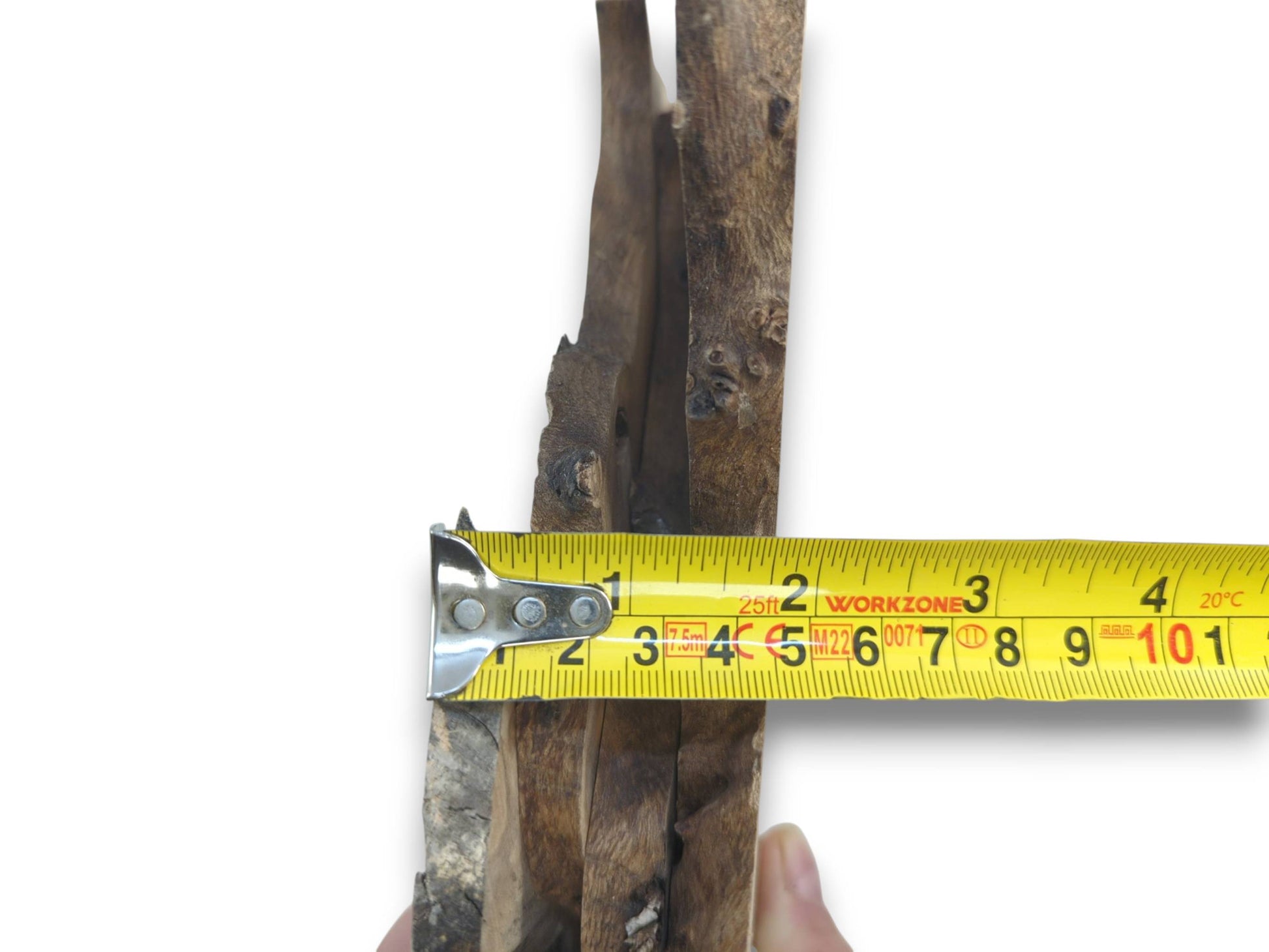 A hand holds a tape measure against two natural edge hardwood slices on a white background.