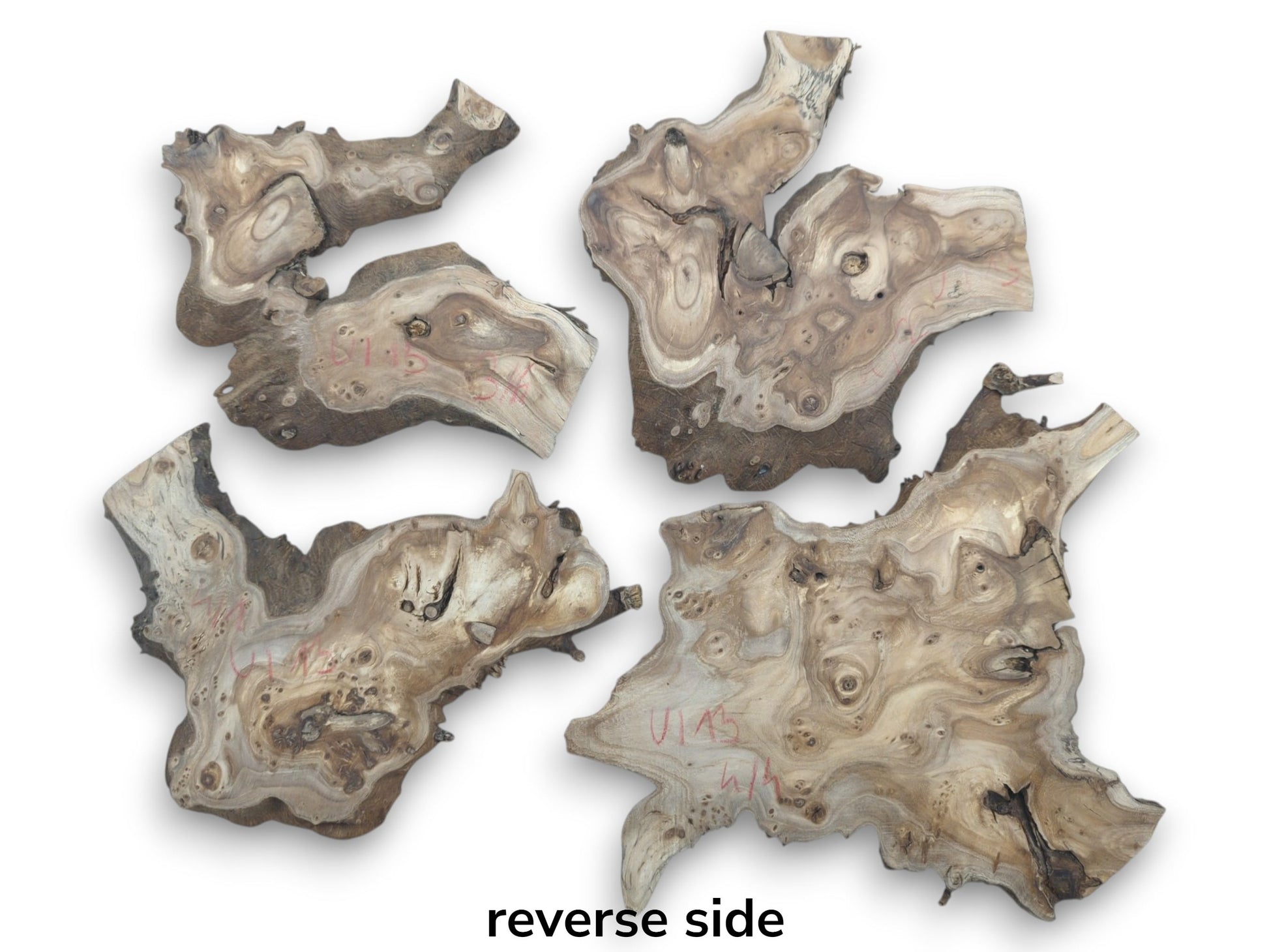 Four highly figured hardwood slices with natural edges and burls, showing the reverse side.