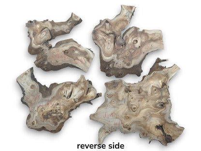 Four highly figured hardwood slices with natural edges and burls, showing the reverse side.