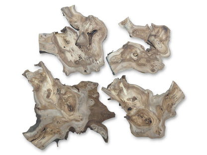 Four highly figured hardwood slices with natural edges and burls on a white background.