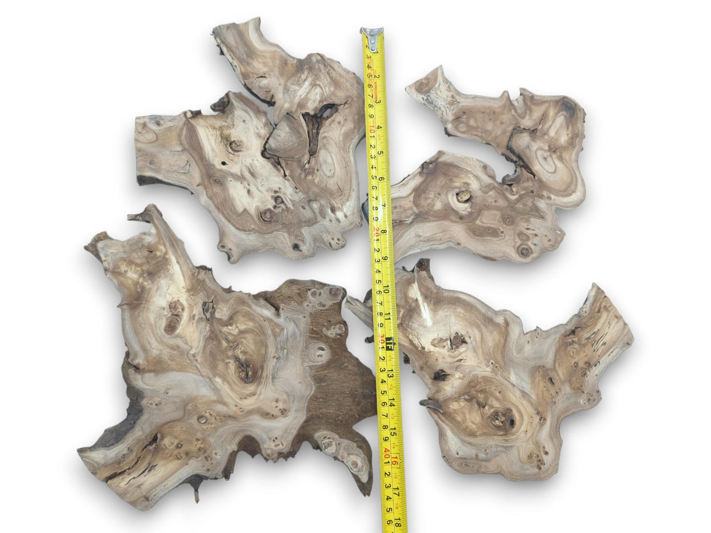 Four natural edge hardwood slices with highly figured grain and burls, measured with a tape.