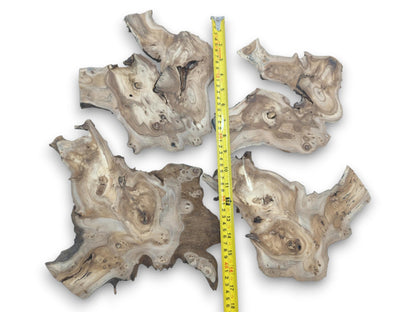 Four natural edge hardwood slices with highly figured grain and burls, measured with a tape.