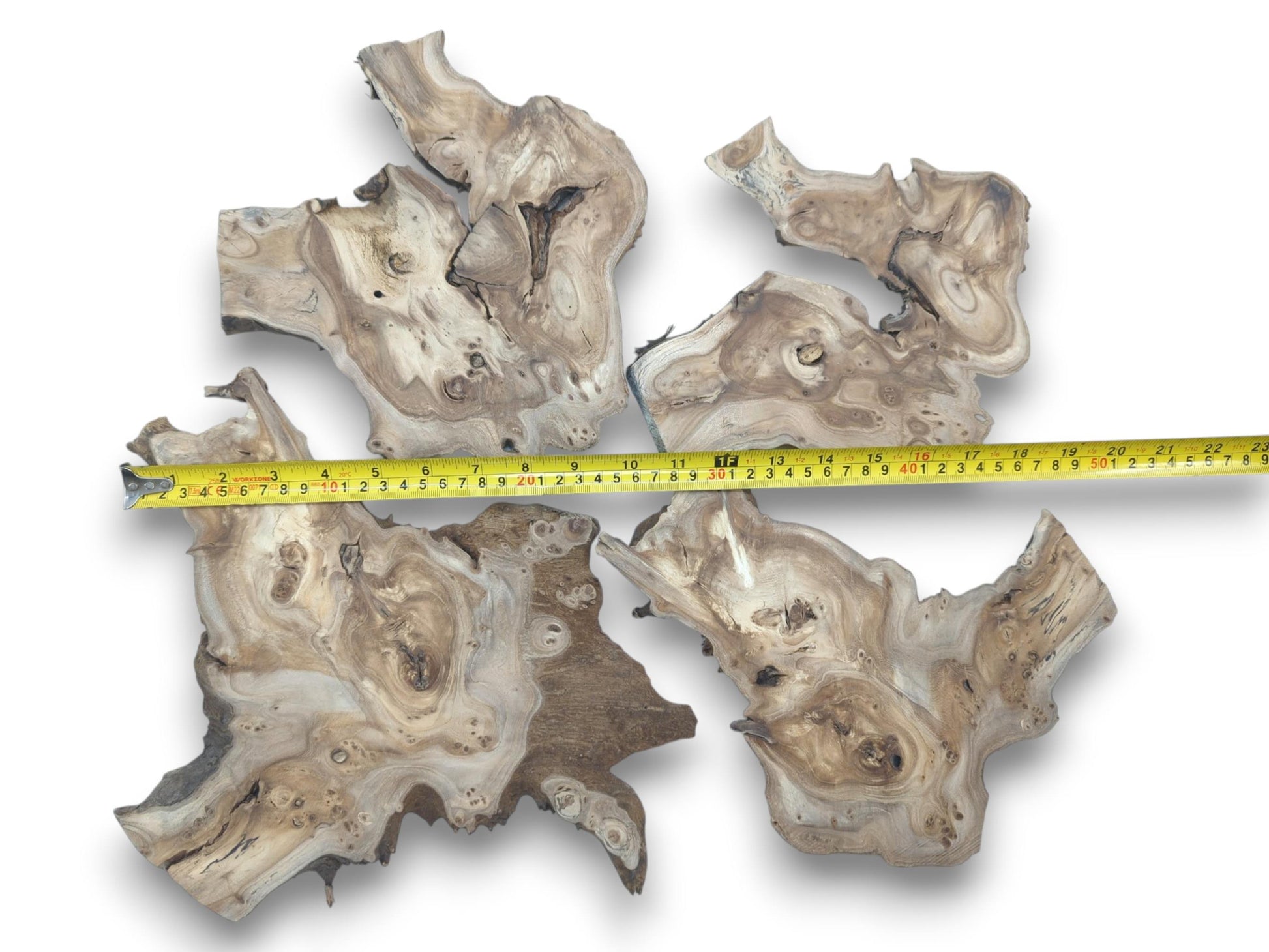 Four highly figured hardwood slices with natural edges and burls, measured with a tape.