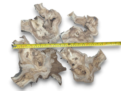 Four highly figured hardwood slices with natural edges and burls, measured with a tape.