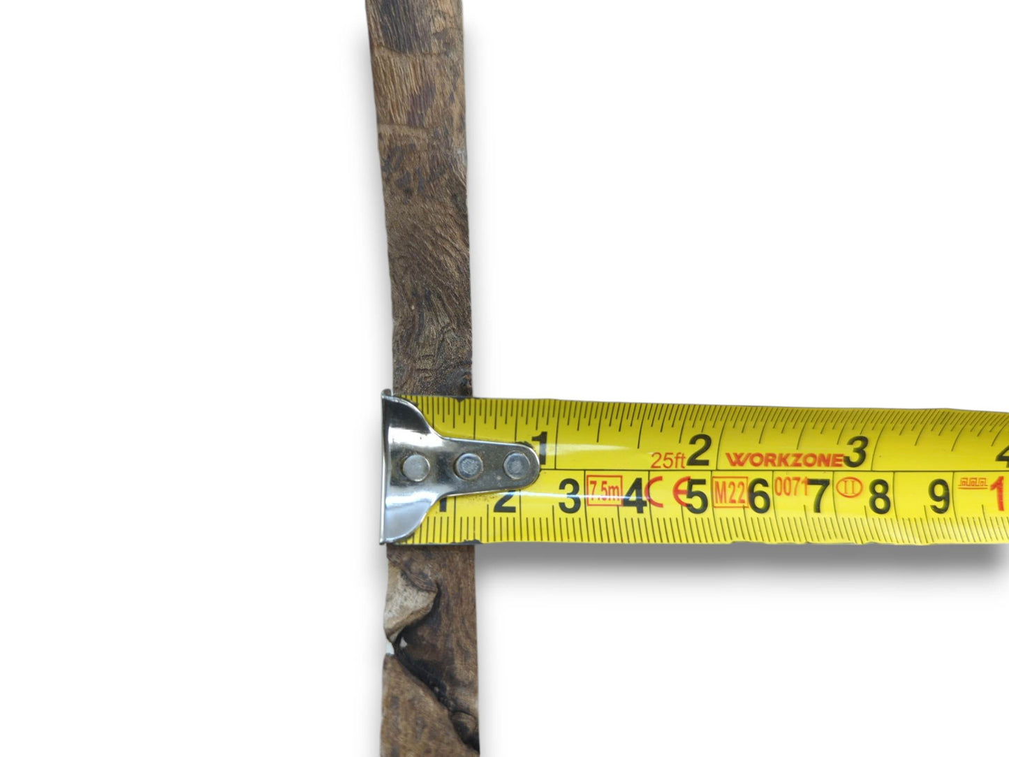 A natural edge hardwood slice with visible grain and texture, measured with a tape.