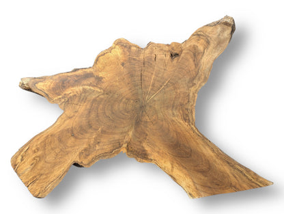 Irregularly shaped medium brown wood slice with prominent growth rings and a dark, textured live edge.