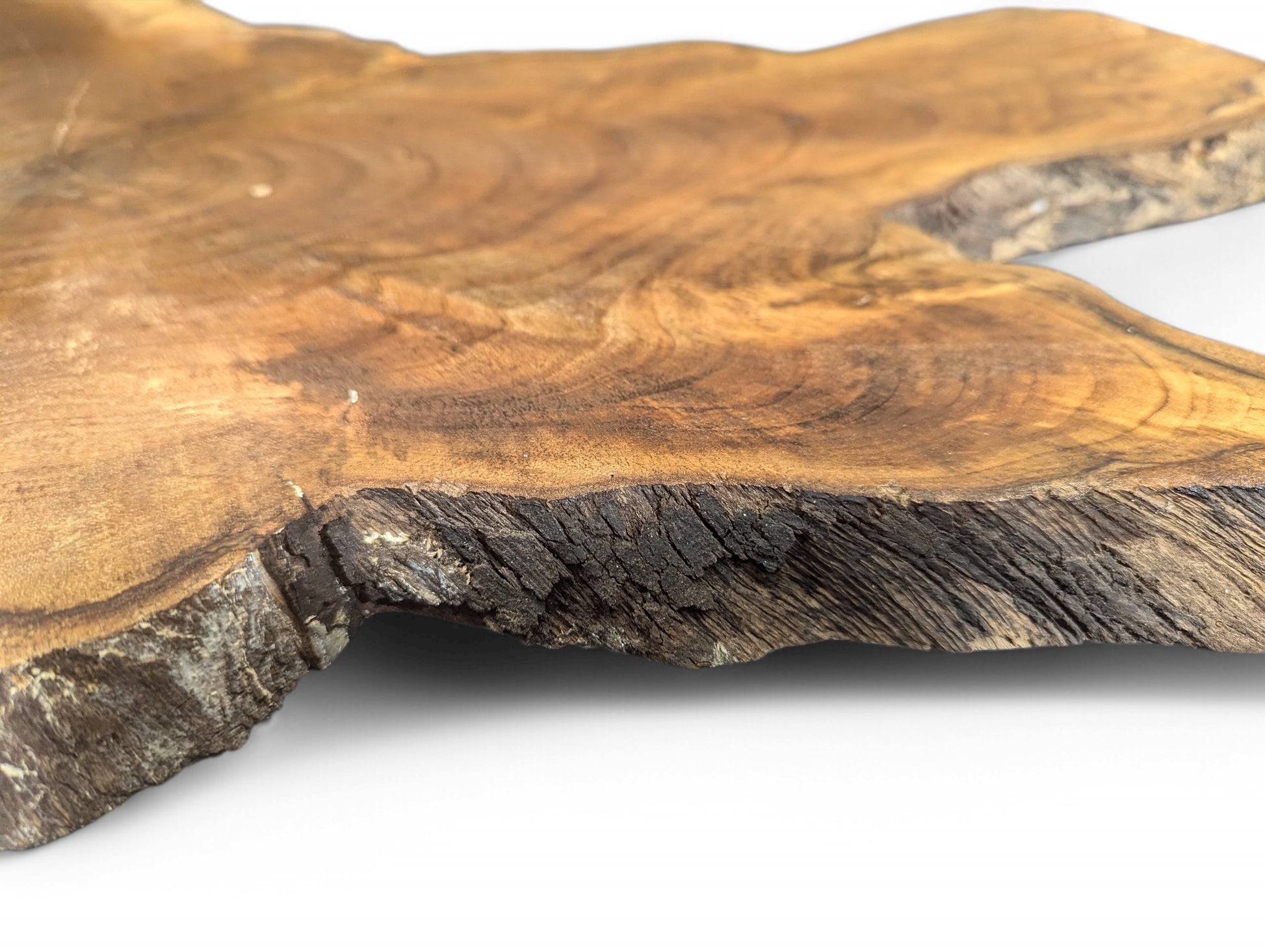 Irregular, golden-brown English Walnut root wood slice with dark grain and a textured natural live edge.