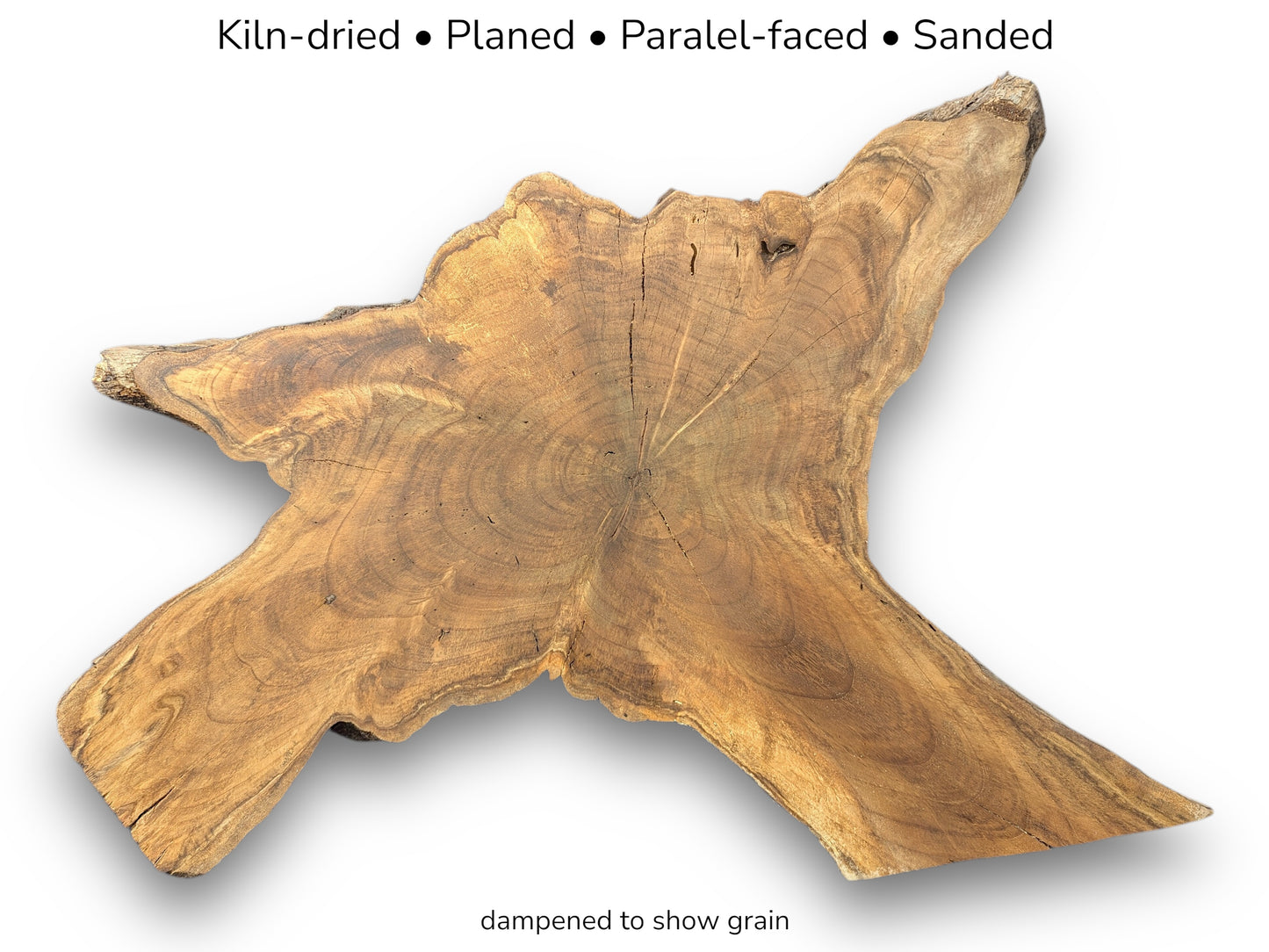 Irregular walnut root slice displaying concentric growth rings and text overlay listing specific wood treatments.