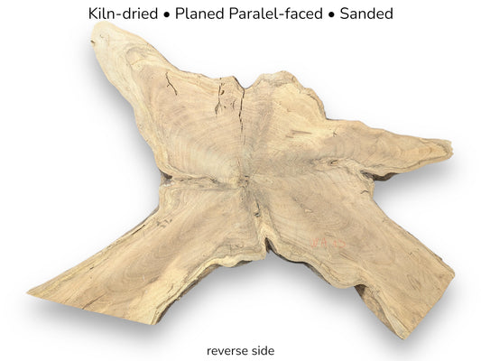 Image with text details a kiln-dried, planed, sanded, irregular English Walnut root wood slice's reverse.