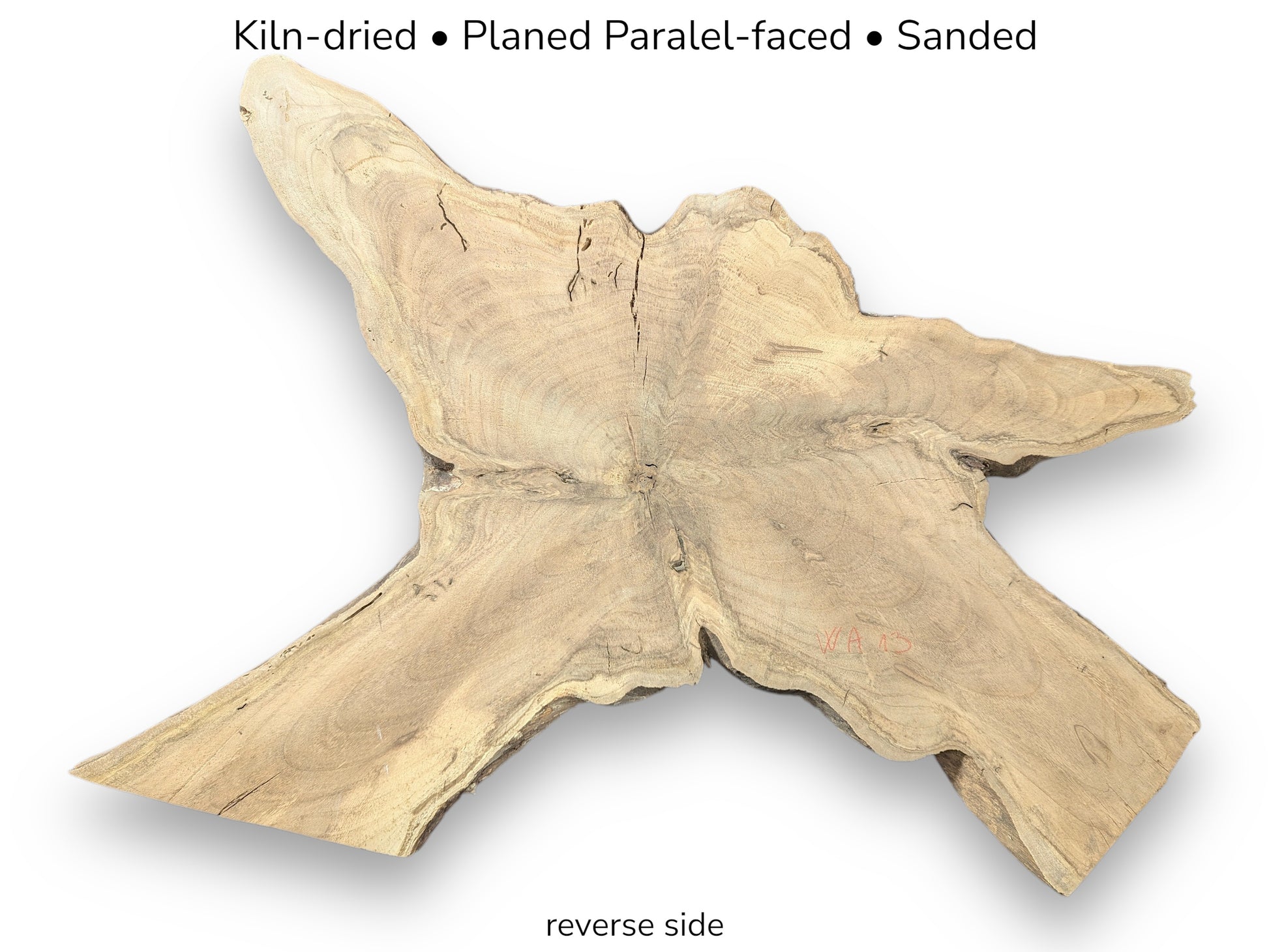Image with text details a kiln-dried, planed, sanded, irregular English Walnut root wood slice's reverse.