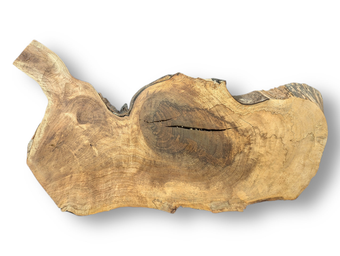 Organic brown wood slice with a live edge, prominent knot, radial grain patterns, and a large crack.