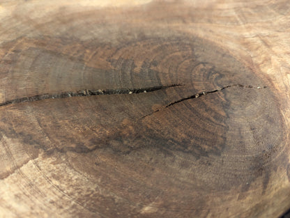 Detailed view of a rich brown wood surface, showcasing concentric rings and a prominent horizontal crack.