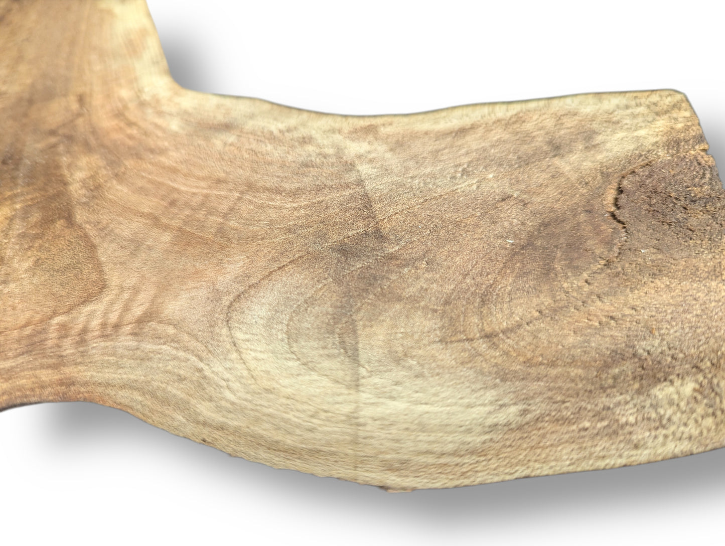 Natural walnut root wood slice featuring an irregular live edge, varied brown tones, and swirling grain.