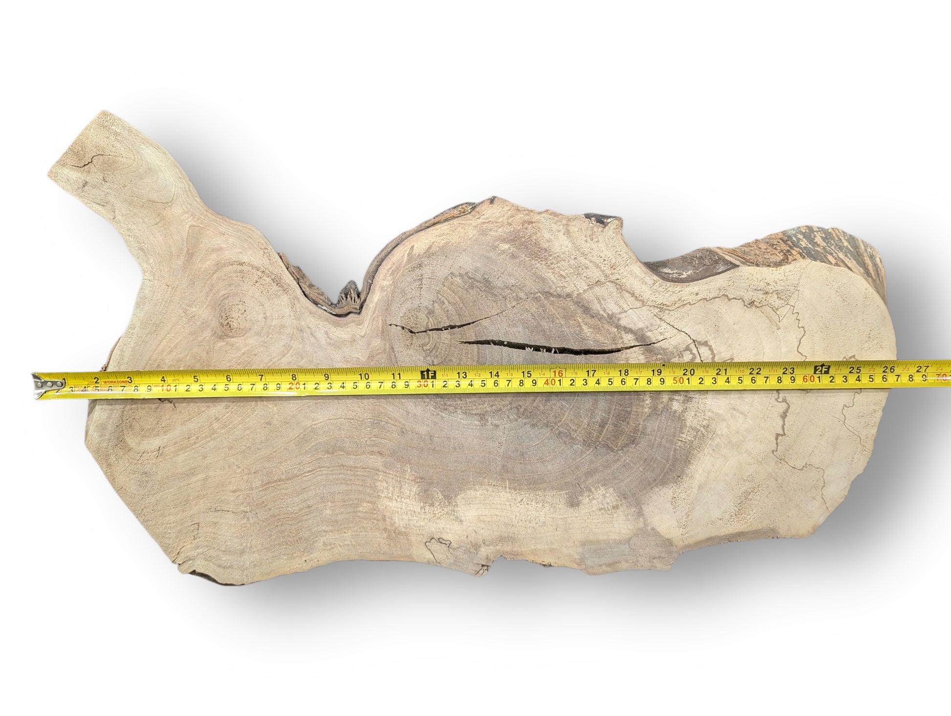 Light brown wood slice, irregularly shaped, showing distinct grain, cracks, and a yellow measuring tape.