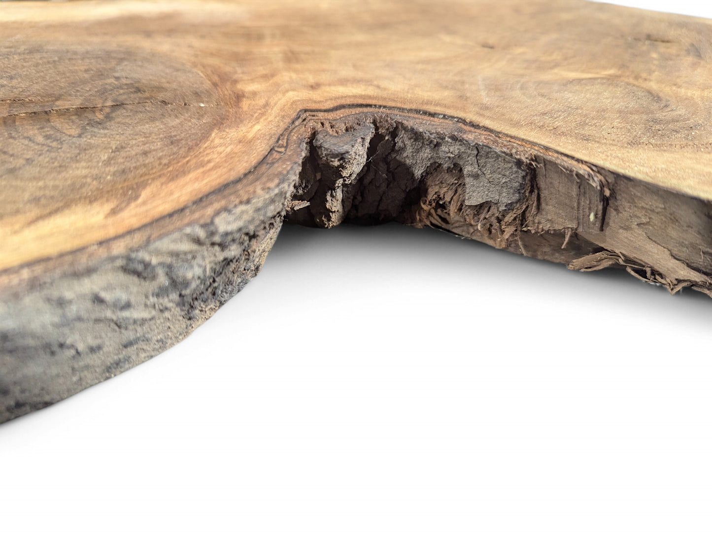 Irregular English walnut root wood slice displaying rough live edge bark and varied brown wood grain.