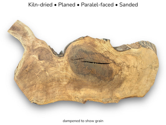 Irregular walnut root slice displaying dark heartwood, swirling grain, natural cracks, and processing text overlay.