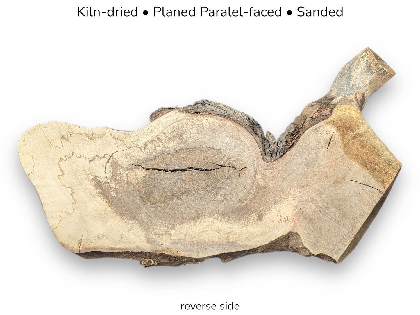 Image showing a live edge walnut root wood slice, reverse side, with text detailing processing steps.
