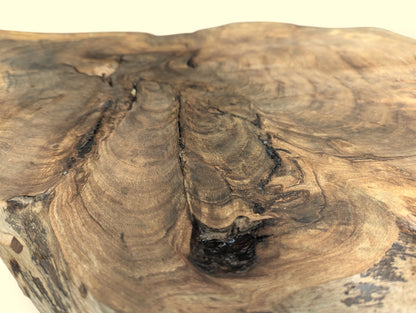 Detailed view of a dark brown wood slice, featuring swirling grain patterns, natural fissures, and a deep knot.