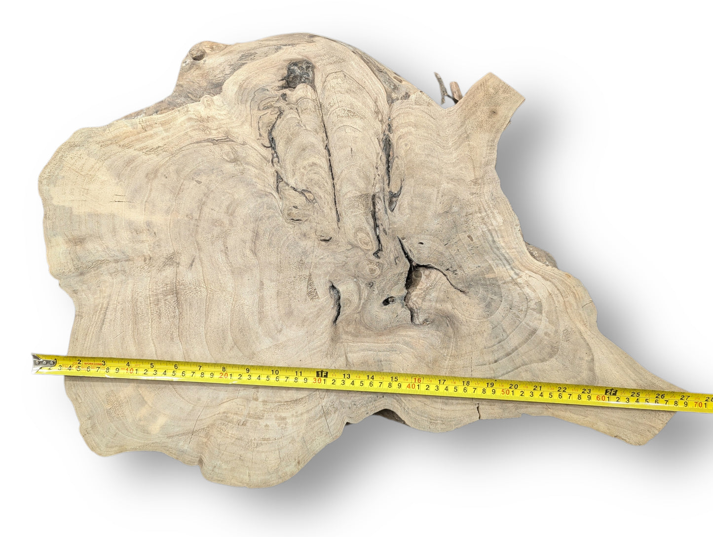 Pale brown, irregularly shaped live edge wood slice with prominent swirling grain and a yellow measuring tape.