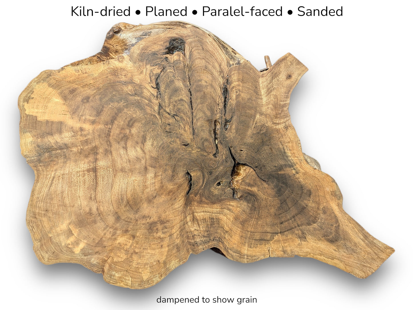 Irregular walnut root slice showing rich brown grain patterns with text listing kiln-dried and sanded specifications.