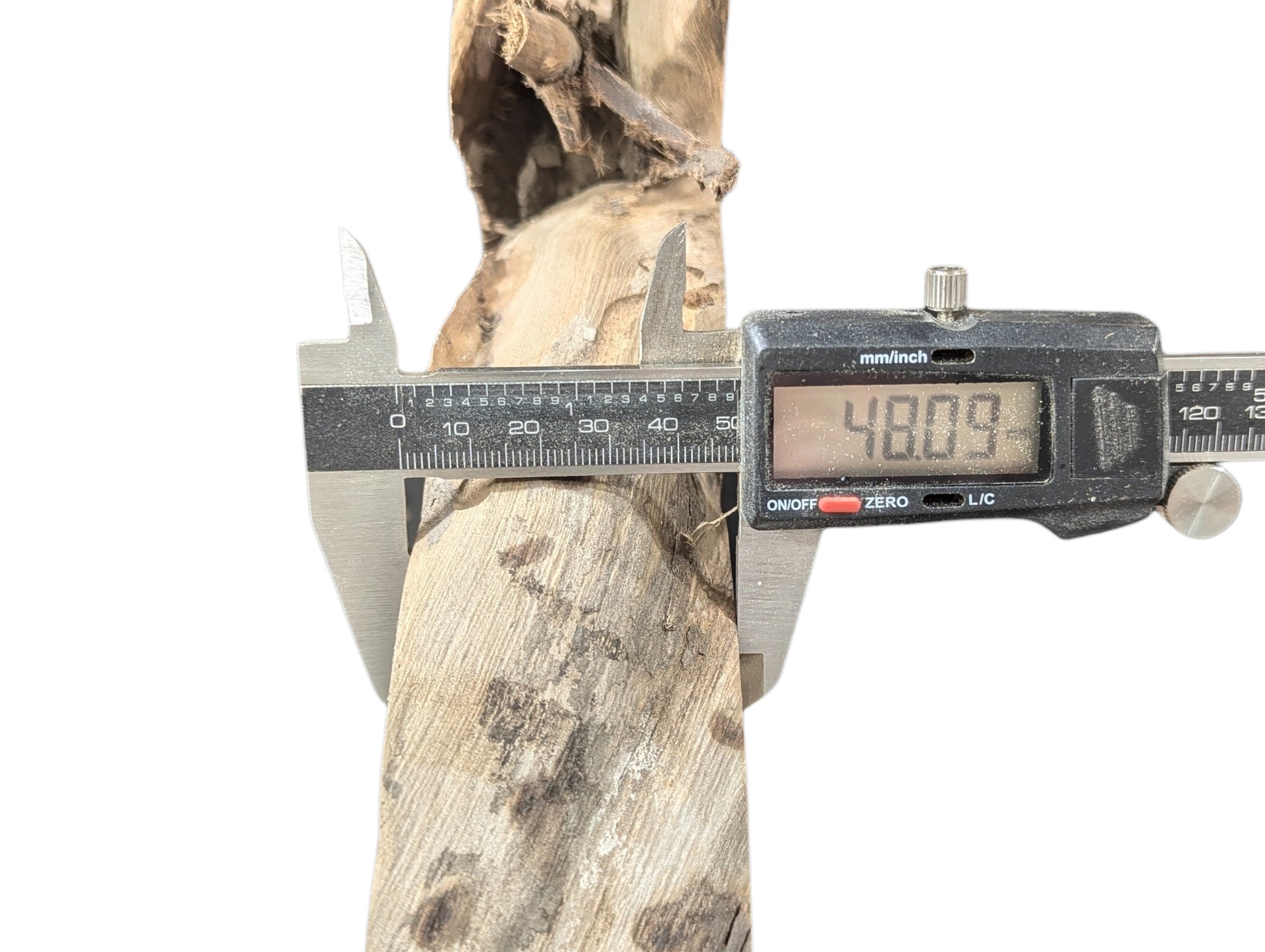 Measuring the thickness of a light tan, irregularly shaped root wood piece with a digital caliper, displaying 48.09.